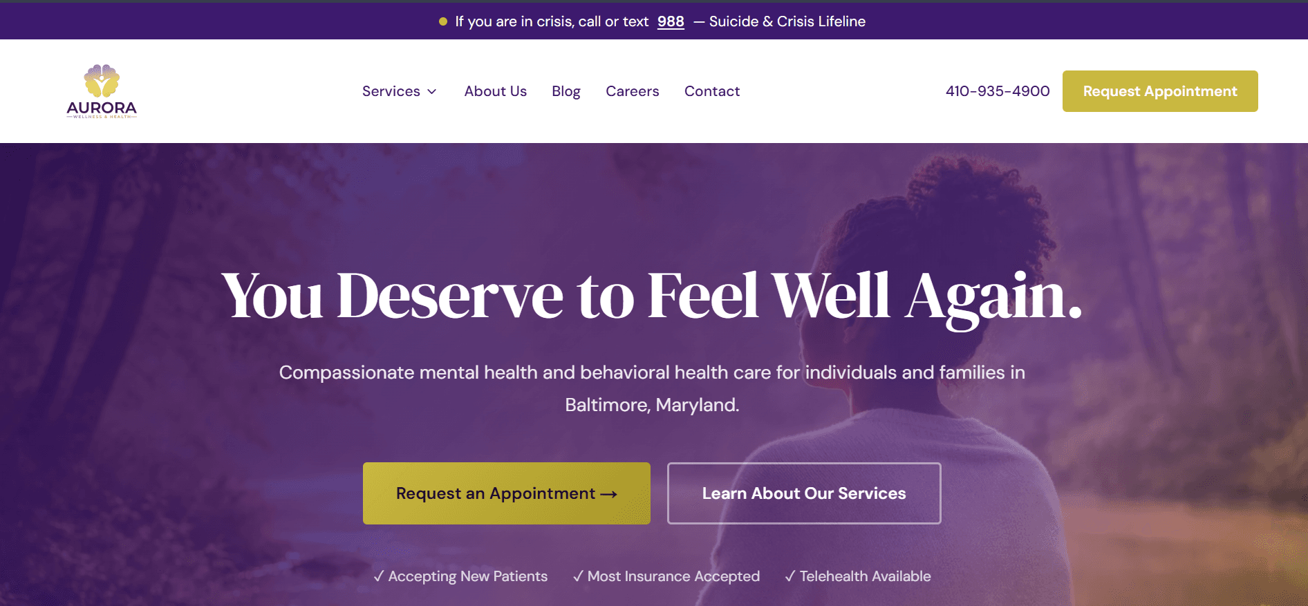 Aurora Wellness Health homepage hero section